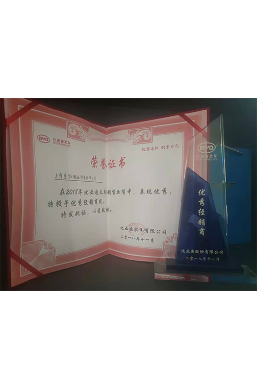 衢州市比亚迪2018优秀经销商